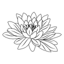 Lotus Traders